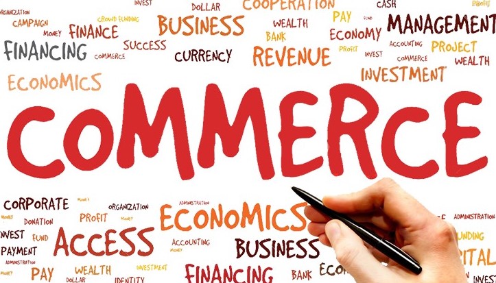 WHAT IS THE IMPORTANCE OF COMMERCE EDUCATION?